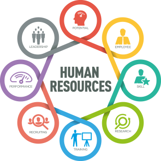 human resources graphic